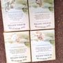 Beatrix Potter Books Collection Image 4