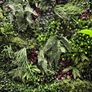 Artificial Wall Grass 1m x 1m Image 2