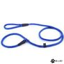 Slip-On Dog Training Lead & Combined Collar (L-XL) Image 5