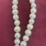 Freshwater Pearl Bracelet Image 4