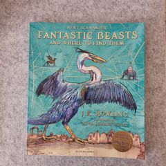 Fantastic Beasts and Where to Find Them