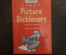 Ladybird First Picture Dictionary
