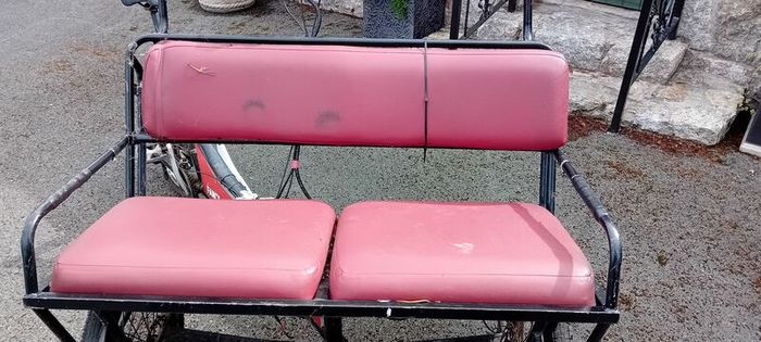 Ebike 3 Wheel Taxi