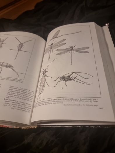 Invertibrate Zoology . 4th edition(Hardcover Illustrated Boards)