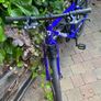 Frog Bike Image 5