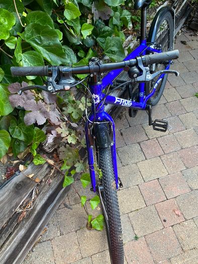 Frog Bike