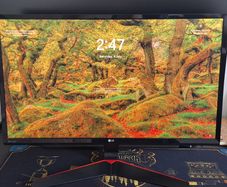 LG 24" Gaming Monitor