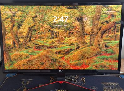 LG 24" Gaming Monitor