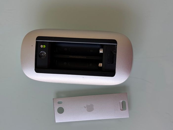 Apple mouse