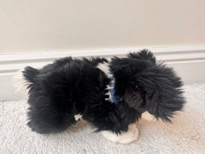 Keel Toys Jessie Border Collie Black White Dog Soft Plush approx. 25 cm. Blue Collar Used Please see photos