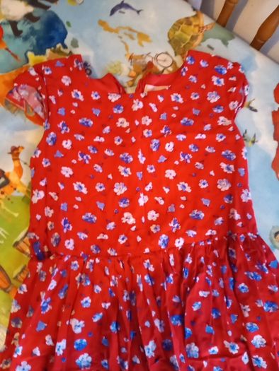 pumpkin patch red and blue dress