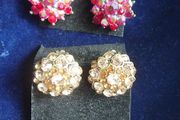 Clip on Earring