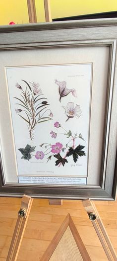 Lovely Gray Framed SOUTH AFRICAN BOTANICAL ART BY Judy Wheeler Geranium Family Monsania attenuata Geranium pulchrum