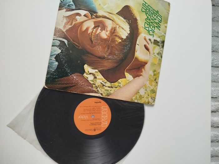 John Dennver vinyl lp