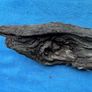 bog oak Image 4
