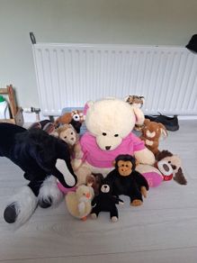 Free soft toys bundle