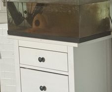 fish tank