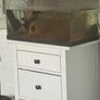 Amazing Fish Tank Image 4