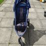 Phil and Ted buggy Image 3