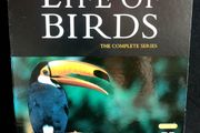 David Attenborough: The Life Of Birds - The Complete Series DVD (2012)
