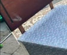 Free Single Bed base with Headboard