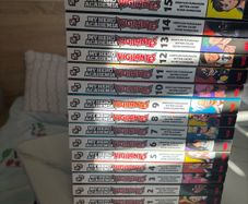 Mha vigilante manga- complete collection