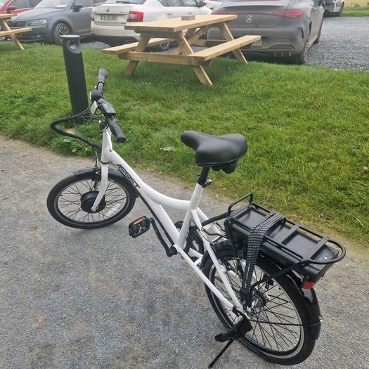Assist hybrid electric bike