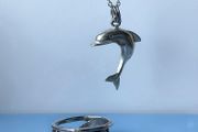 Silver dolphins set (ring and necklace)