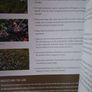 Mayo's Hedgerows / 2012 Image 6