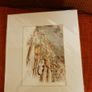Cat Print Image 5