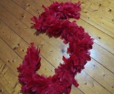 fur