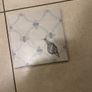 Floor Tiles Image 3