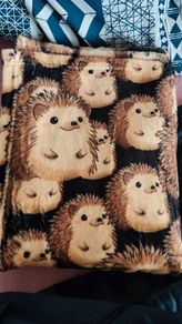 brown hedgehog small single fleece blanket