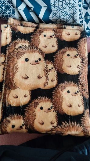 brown hedgehog small single fleece blanket