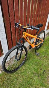 24 Inch Team Mx Mountain Bike Orange