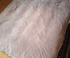 Inflatable Mattress