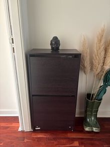 Shoe cabinet