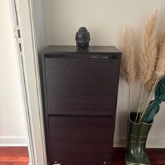 Shoe cabinet