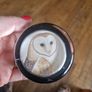 paperweight Image 5