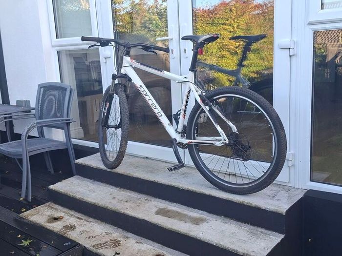 Mountain bike
