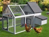 Chicken House Chicken Coop