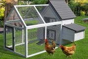Chicken House Chicken Coop
