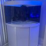 Juwel Trigon Aquarium Image 2