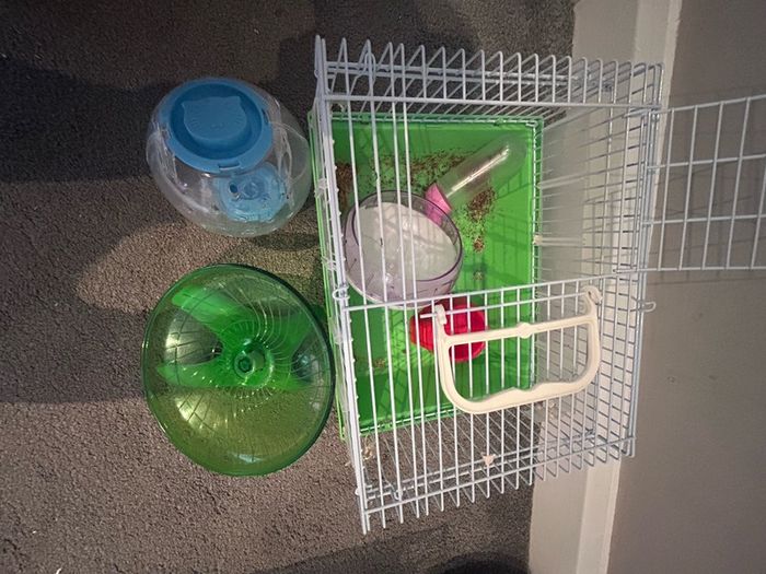 Hamster starter kit