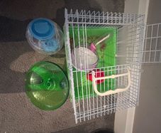 Hamster starter kit