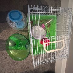 Hamster starter kit