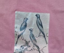 Pull and Bear t shirt dusky pink birds 10