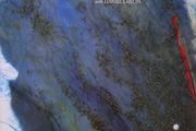 Harold Budd/Brian Eno - The Pearl LP 1984