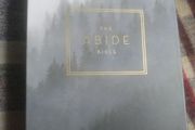 nKJV Abide Bible brand new in Box isbn: 9780785226642  Stone Leathersoft
