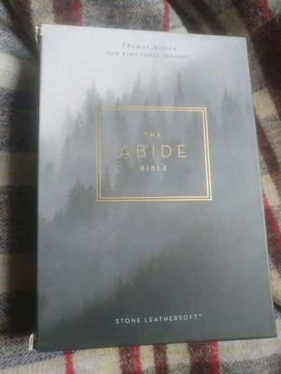 nKJV Abide Bible brand new in Box isbn: 9780785226642  Stone Leathersoft